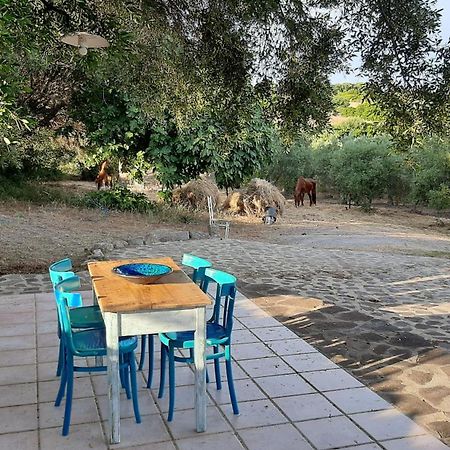 לינה וארוחת בוקר SantʼAntìoco Sa Ruscitta מראה חיצוני תמונה
